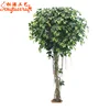 /product-detail/guangzhou-supplier-cheap-ficus-microcarpa-bonsai-trees-price-artificial-potted-plant-garden-topiary-landscaping-plant-60228632115.html