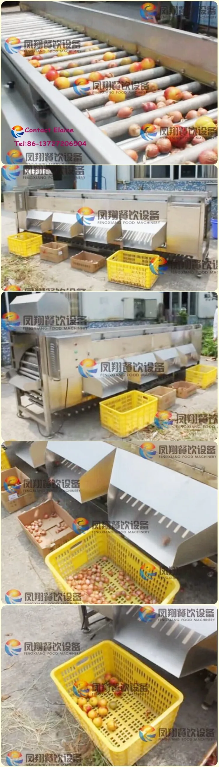 a High Efficiency Automatic Apple Avocado Onion Sorting Grading Machine.jpg
