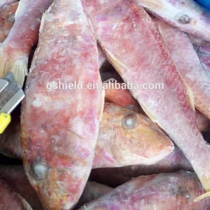 hot sale whole round red mullet 8-10pcs/kg