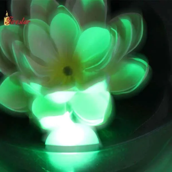 LED-F023.JPG