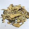 7001 Wuxueteng Traditional Chinese Medicine Gymnema sylvestre Schult