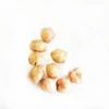 Healthy Snacks Non-Fried Roasted Salted Chickpeas Cheap Price and Fine