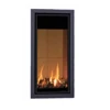 /product-detail/elegant-wall-mounted-insert-modern-gas-fireplace-60223975898.html