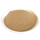 Feed Grade Additive Photosynthetic Bacteria Probiotic Additives Animal China Supplier Poultry Breeding