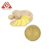 /product-detail/hongda-factory-supply-organic-ginger-root-extract-powder-5-10-gingerol-ginger-extract-60644067726.html