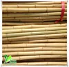 Natural for Garden Import Natural Bamboo Rods for Garden