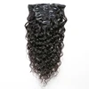 No Chemical Processed Virgin Brazilian For Black Women Clip Hair Extensions Natural Hair