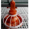 High quality China Chicken feeder and drinkers price