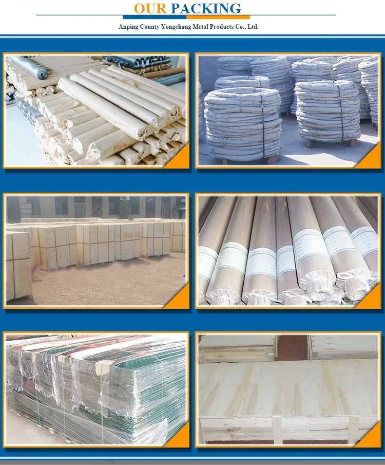 my test Welded wire mesh in rolls