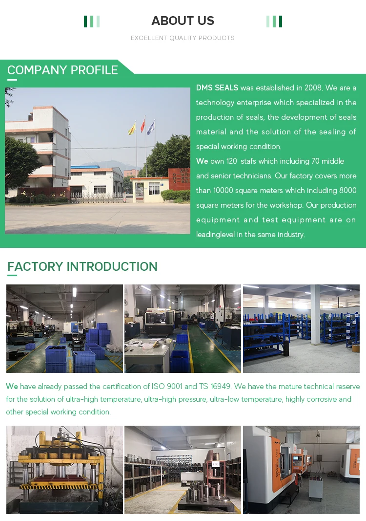 DMS Seals energized seal factory price for acidizing-18