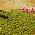 2019 Sprouted green mung bean moong dal size,3.6mm