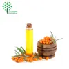 Organic Essential Oil sea buckthorn fruit oil for Skin Care