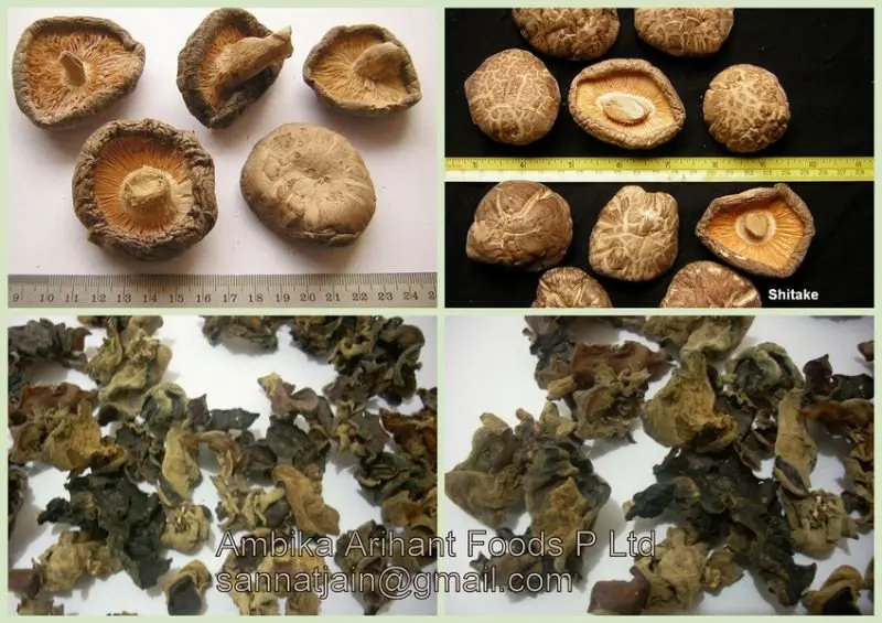 Dried Mushrooms - Shitake, Black Fungus