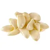 /product-detail/jin-xiang-peeled-garlic-china-cheap-peeled-garlic-for-sale-new-crop-garlic-60465274742.html