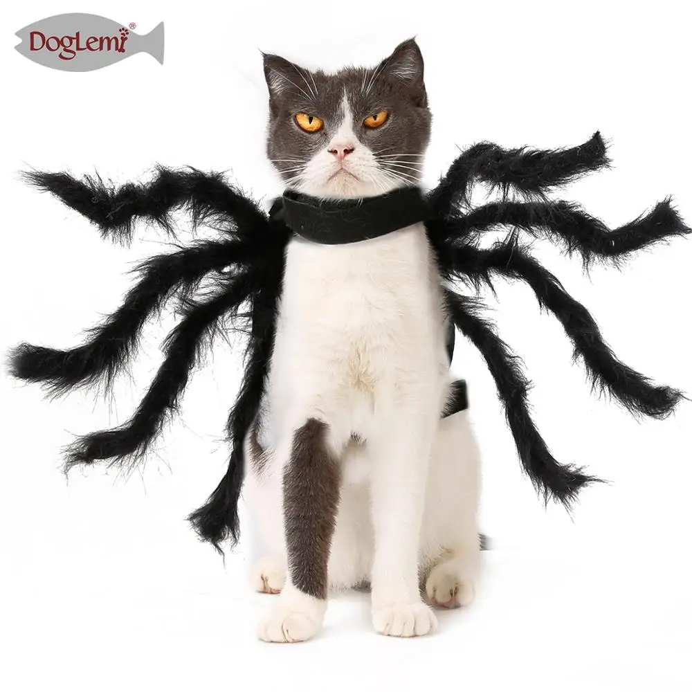 Halloween Pet Products Cosplay Spider Costume Dog Cat Spider Look Party Clothes, Black
Halloween Pet Products Cosplay Spider Costume Dog Cat Spider Look Party Clothes, Black