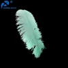 Online Shop Wholesale Various specification High Prime Quality Feather Big