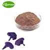 /product-detail/fast-delivery-in-24-hours-purple-reishi-mushroom-ganoderma-lucidum-powder-60453729924.html