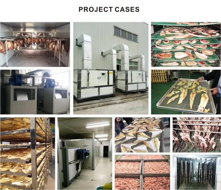 Energy saving 80 Solar Fish Drying Machine for fish rotary dryer