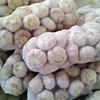New crop fresh garlic/Wholesale China new crop white garlic fresh garlic price