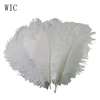 2018 artificial top quality ostrich feather