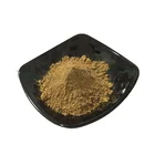 Natural plant extract best quality bacopa monniera extract brahmi extract