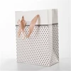 /product-detail/so-sweet-for-customer-of-paper-bag-60776420325.html