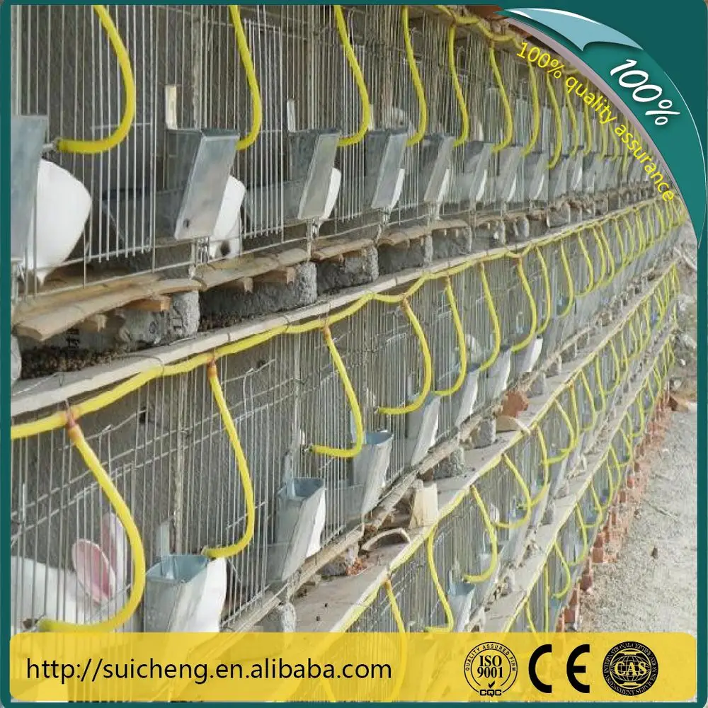 Guangzhou Welded Rabbit Cage Wire Mesh/ Rabbit Hutch Buy Welded
