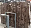 China Dark Rainforest Brown Golden Coast Marble for wall floor tiles