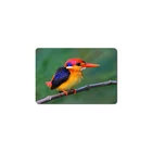 souvenir lenticular 3d fridge magnet of bird