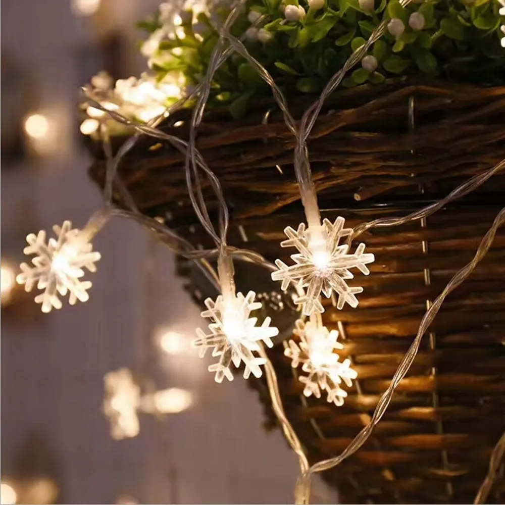 71yFPN8-3CL._SL1000_