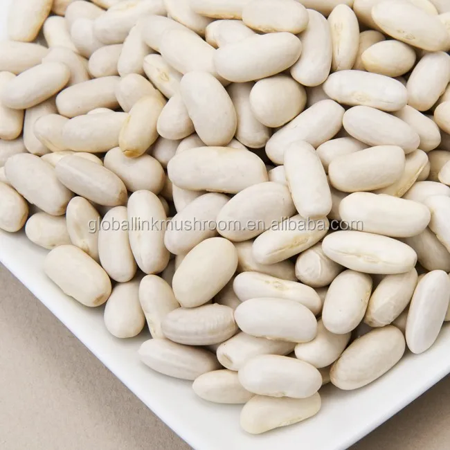 new crop white kidney beans