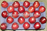 apple fruits, apple fruits red delicious chinese apple fruit