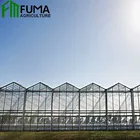 China Good Quality Multi Span Venlo Type Plastic PC Sheet Greenhouse for Tomato Cucumber