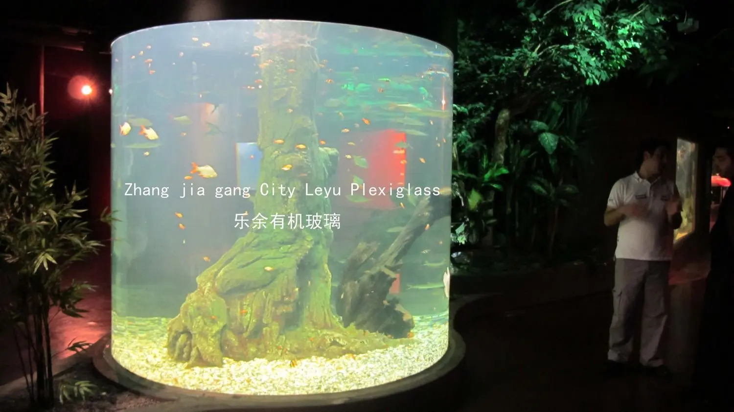 Custom Giant Acrylic Fish Tank For Sale Buy Acrylic Fish