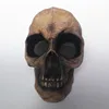 /product-detail/custom-made-decorative-mini-resin-skull-heads-for-souvenir-decoration-60569629118.html