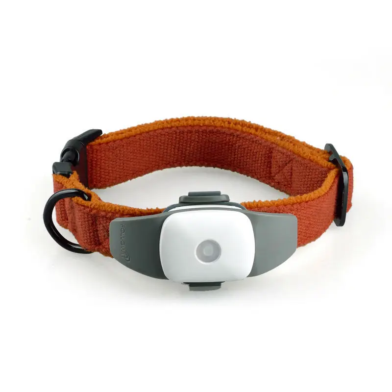 Newest Small White Gps Tracking Chips For Sale Pet Gps Tracker With Collar Tracking Device Buy Pet Gps Tracking Devicesmall Gps Tracking Chips For Newest Small White Gps Tracking Chips For Sale Pet Gps Tracker With Collar Tracking Device Buy Pet Gps Tracking Devicesmall Gps Tracking Chips For