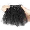 Cheap 100% human hair afro kinky curly clip in hair extensions