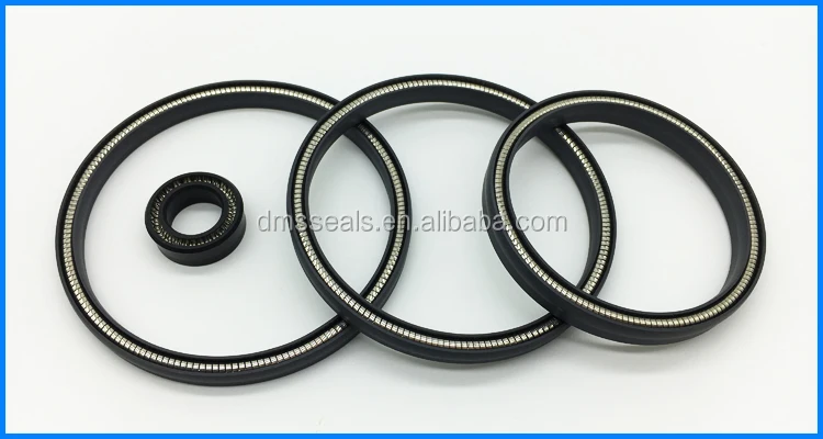 Double Lip Oil Seal,Spring Energized Lip Seal