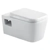Factory Supplying wall mounted toilets problems toilet installation hung frame manufacturer