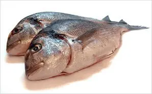 Sea Bream - Buy Fish Product on Alibaba.com