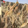 Good Price Indian Modern Rainforest Marble Imperial Black Forest Cafe Brown Slab For Hotel Project