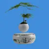 /product-detail/hot-sale-new-design-ficus-bonsai-scissors-mica-bonsai-pots-60515337492.html
