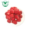 /product-detail/iqf-frozen-sweet-strawberry-62016185314.html