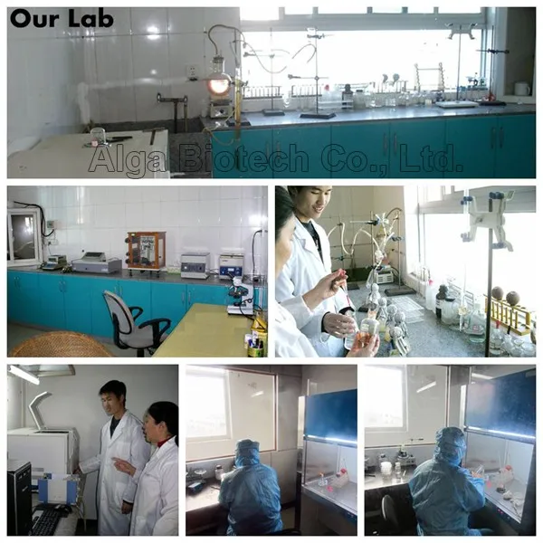 Lab.jpg