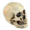/product-detail/resin-skull-head-1052954897.html