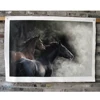Wild horses handmade oil painting from photo