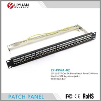 LY PP6A 02 Telecommunication Blank Cat6a