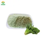 100% pure natural spinach juice extract powder on sale