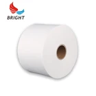 non-woven spunlace nonwoven fabric roll spunlace polyester nonwoven fabric