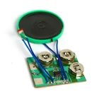 Light activated custom talking module for greeting card